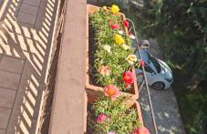 Oasi Verde - Foto 11