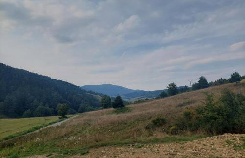 Apartamenty TRIO - Foto 6