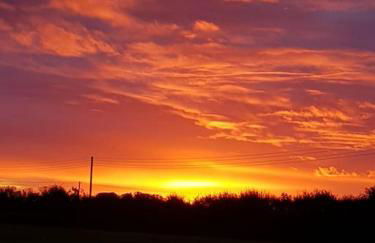 Amazingly quiet and peaceful studio getaway. - Foto 16