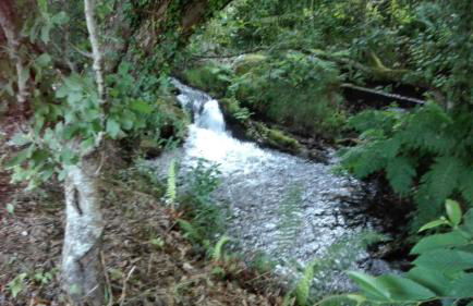 Casa da fonte - Foto 21