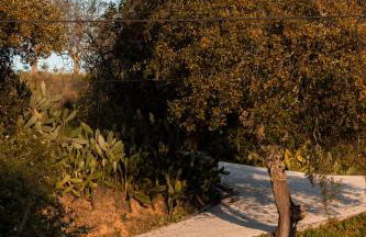 Vale De Ferreiros - Foto 49