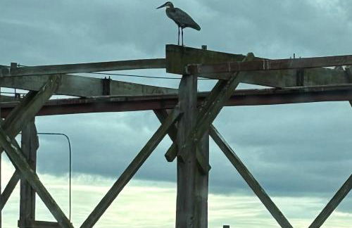 Hot Tub and Mtn Views Lummi Island Home Near Beach - Foto 33