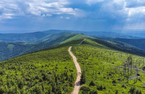 Sękata Chata - Photo 9