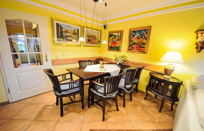 Strandflieder - Foto 2