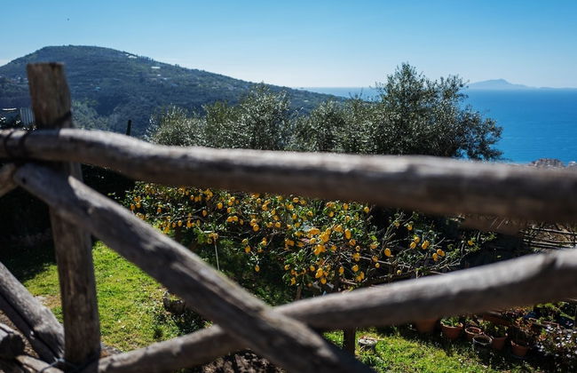 Casa Floriana - Foto 39