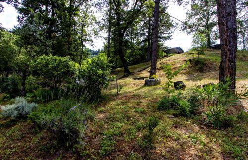 Alloggio Villa Manini - Foto 29