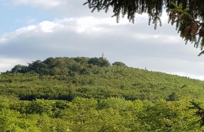 Ferienhaus in Blankenburg - Foto 24