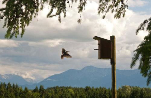 Jagdhaus Nantesbuch Comfortable holiday residence - Foto 9