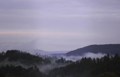 Domki w Bieszczadach Nowa Zelandia - Photo 30
