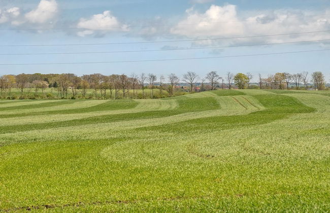 "Henna" - 550m to the fjord - Foto 7