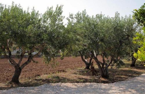 Seaside retreat - Foto 15