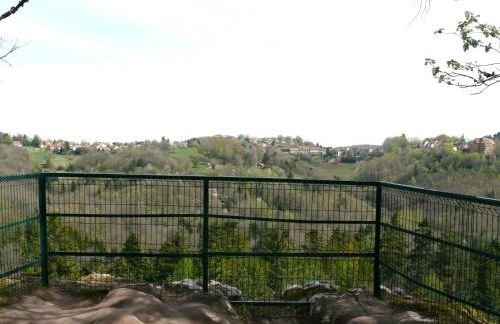 LA VILLA DES OISEAUX - La Petite Pierre - Foto 63