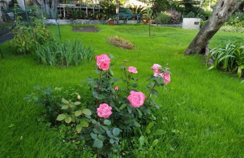 Romantic Loft Sea View Nervi - Foto 19