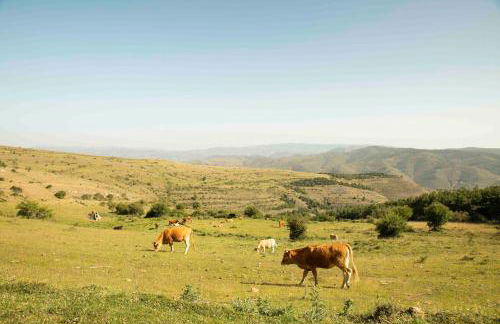 Casa Rural El Huerto de la Fragua - Foto 15