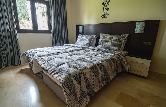 Diamant Vert - Photo 12