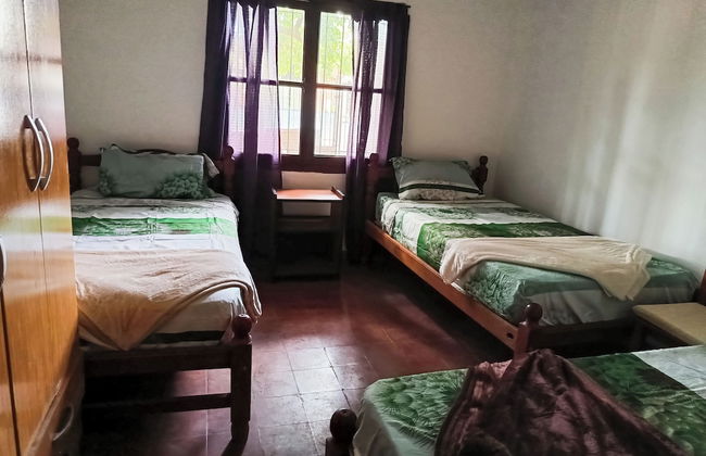 Entre Mangos y Tucanes - Foto 5