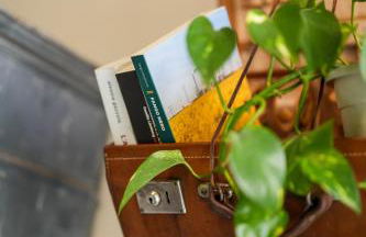 L' ΛᄂᄂӨGGIӨ di KΛMΛ' - Foto 9