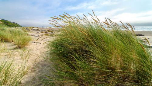 Fairway and Far Away - Foto 3