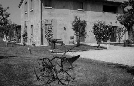 Agriturismo Morgan - Foto 7