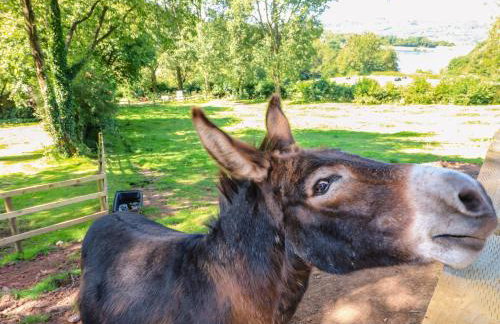 The Ivy Barn - Photo 28