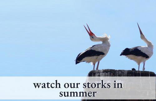 Parterre Lounge mit Terrasse -Nähe Karlsruhe & KIT - ohne Treppen -barrierefreie Dusche - Foto 16