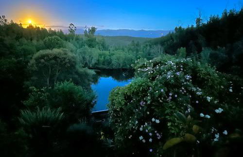 Quinta Do Pereiro - Foto 6