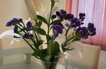 Apartment Edita Plano Trogir with private pool - Foto 9