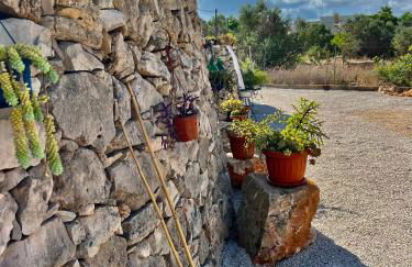 Trulli delle succulente - Foto 15