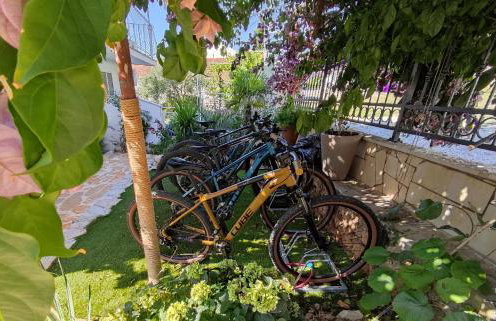 Apartmán BRAĆKI CVIJET - Photo 26