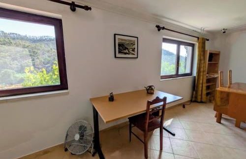 Vale dos Sentidos - Foto 53