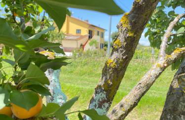 Il Leccio Agriturismo - Foto 44