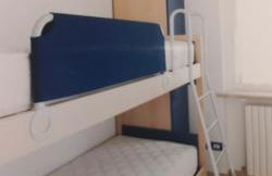 Le primule - Foto 13