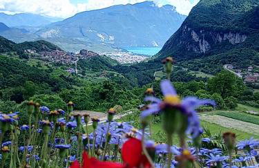 Villa Dream alla Beppa - Photo 49