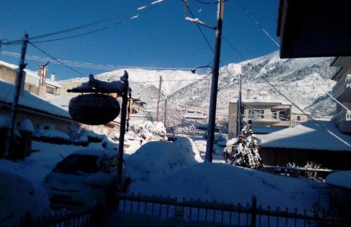 Chrysandra - Foto 41