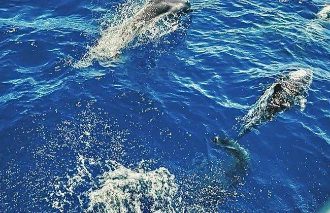 Cesenatico : Tour panoramique côte Adriatique - Photo 6