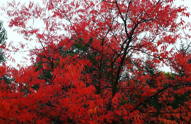 Hamakom Belrom - Photo 20