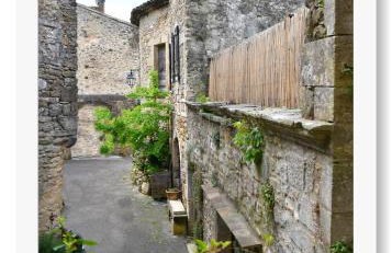 La belle provençale - Foto 10