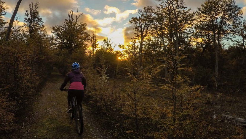 Pedalando pelos bosques da ilha Navarino