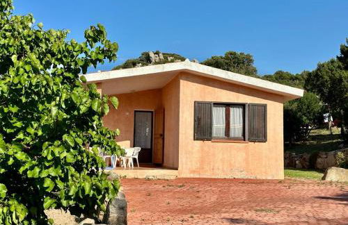 I bilocali di via Ginestre, Rena Majore - Foto 3