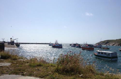 Gite ty hent houarn - Foto 28