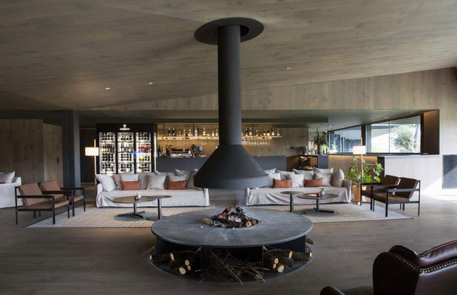 Visita alla cantina Oller del Mas - Foto 6