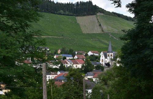 Ferienwohnung Zum Geisberg - Foto 24