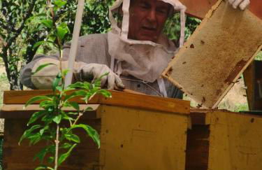 Haus am Eckle - Foto 9