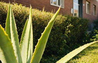 Oasi Domese - Photo 19