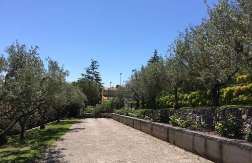 Valpolicella Hills - Foto 79