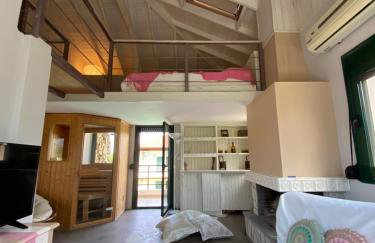 Olympus Theophilia villas - Foto 54