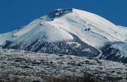Il Canto degli Uccelli - Foto 44