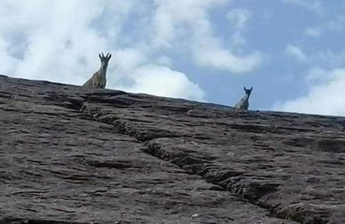 Villa Rural Campillo de Arenas - Foto 58