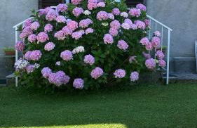 La Ca del Bicc - Foto 12