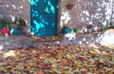 Casetta Nonna Augusta (Spello 9 km-Assisi 12 km) - Foto 37